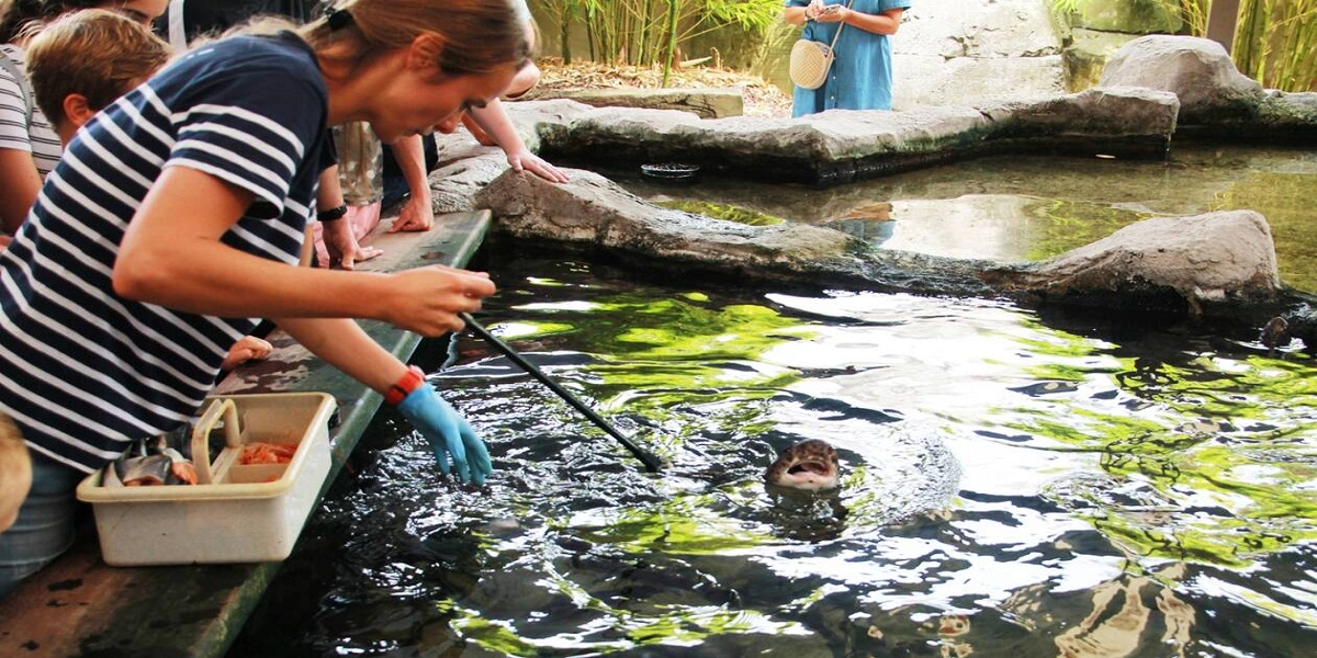 Que voir à l’Aquarium de Saint-Malo ?